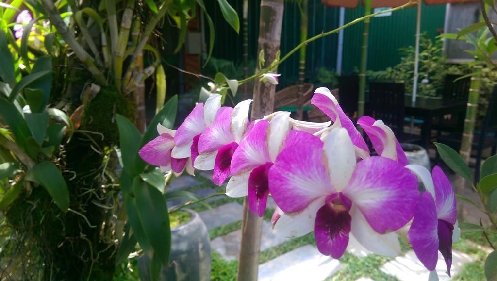 Siem Reap Green Home Guesthouse Экстерьер фото